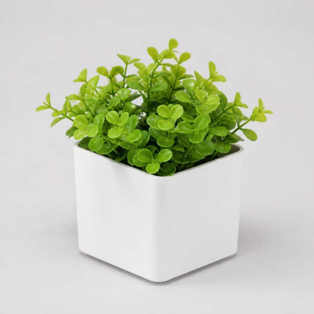Petite plante artificielle compacte en pot carré blanc, vue de trois quarts sur fond clair